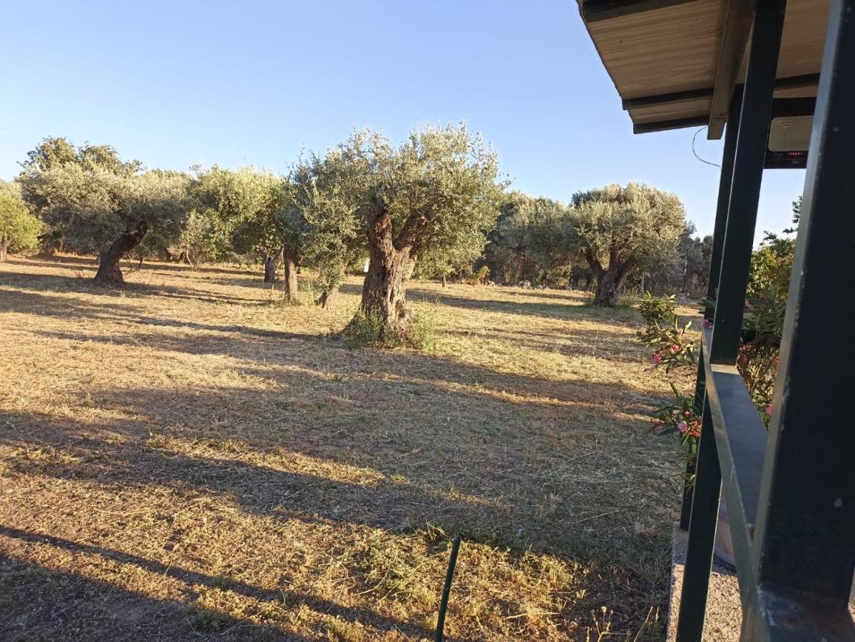 Relax E Tranquillita Villa Monasterace Bagian luar foto